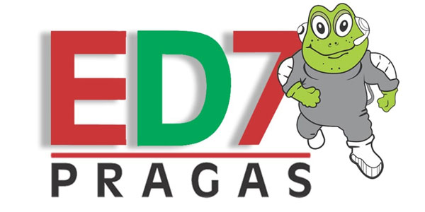 Dedetização em Fortaleza - ED7 Pragas